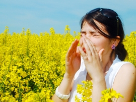 Allerji